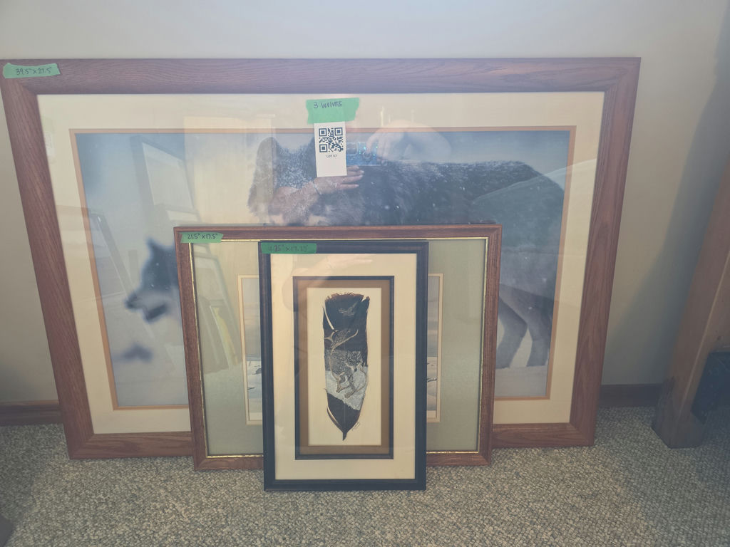 Framed Wolf Wildlife Prints and Feather Artwork - image 9 of 9