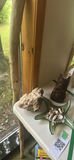 Decorative Driftwood Staff, Mineral Rock, Tiki Carving, and Shell Dish - thumbnail 1 of 7