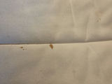 IKEA Poang Armchair - thumbnail 5 of 6