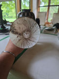 2 Vases - thumbnail 7 of 10