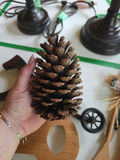 Wooden Horse Decor, Kitchen Utensils, Key Holder, Pine Cone, and Decorative Nuts - thumbnail 7 of 7