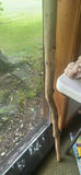 Decorative Driftwood Staff, Mineral Rock, Tiki Carving, and Shell Dish - thumbnail 3 of 7