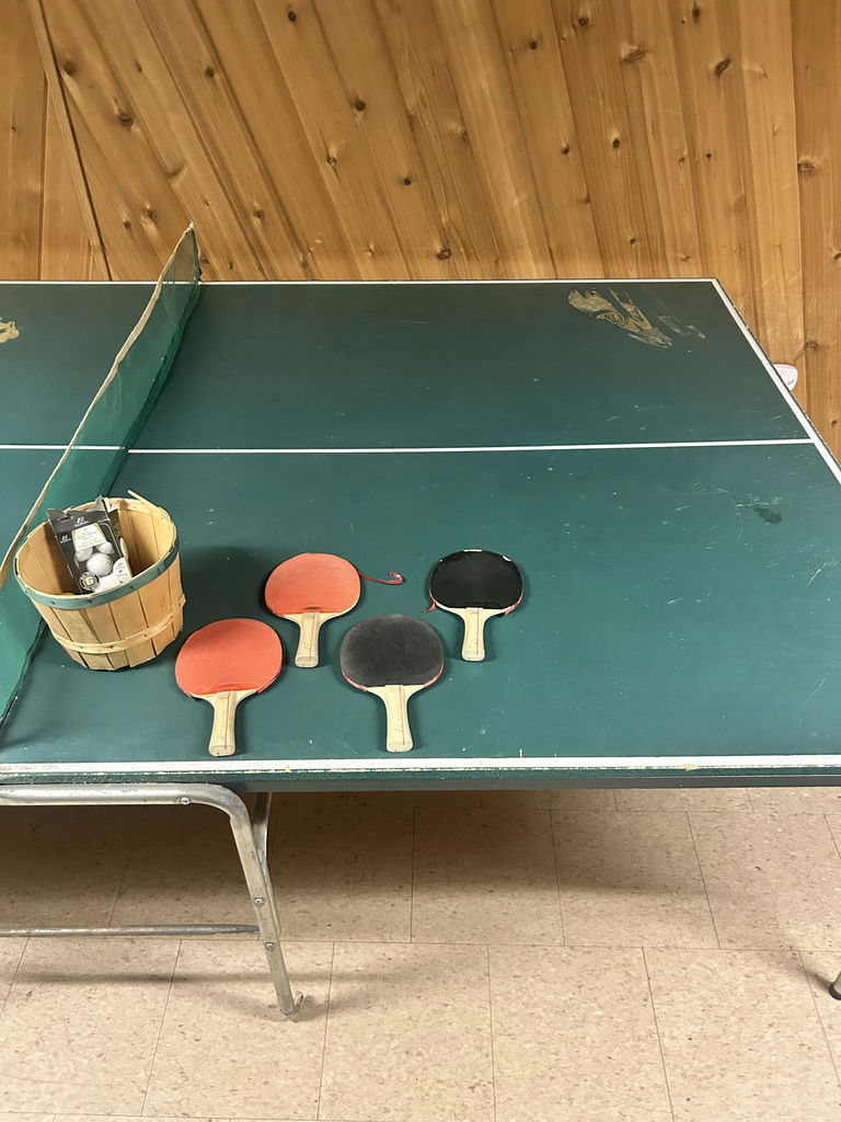 Green Folding Ping Pong Table with Net and Paddles - image 10 of 11