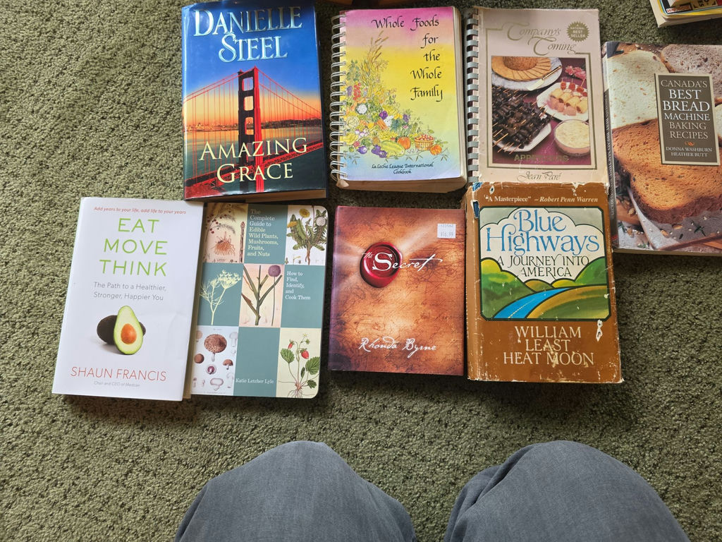 Assorted Books, Puzzle Magazines, DVDs, and Wooden Bible Box - image 6 of 8