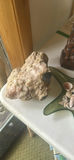 Decorative Driftwood Staff, Mineral Rock, Tiki Carving, and Shell Dish - thumbnail 4 of 7