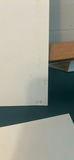 Set of Four Bird Illustration Prints By Frank Cipra - thumbnail 11 of 11