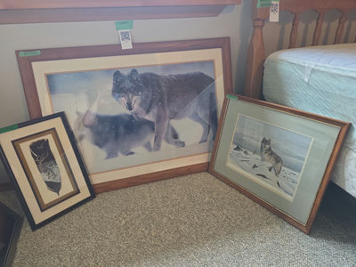 Framed Wolf Wildlife Prints and Feather Artwork - Image 1 of 9