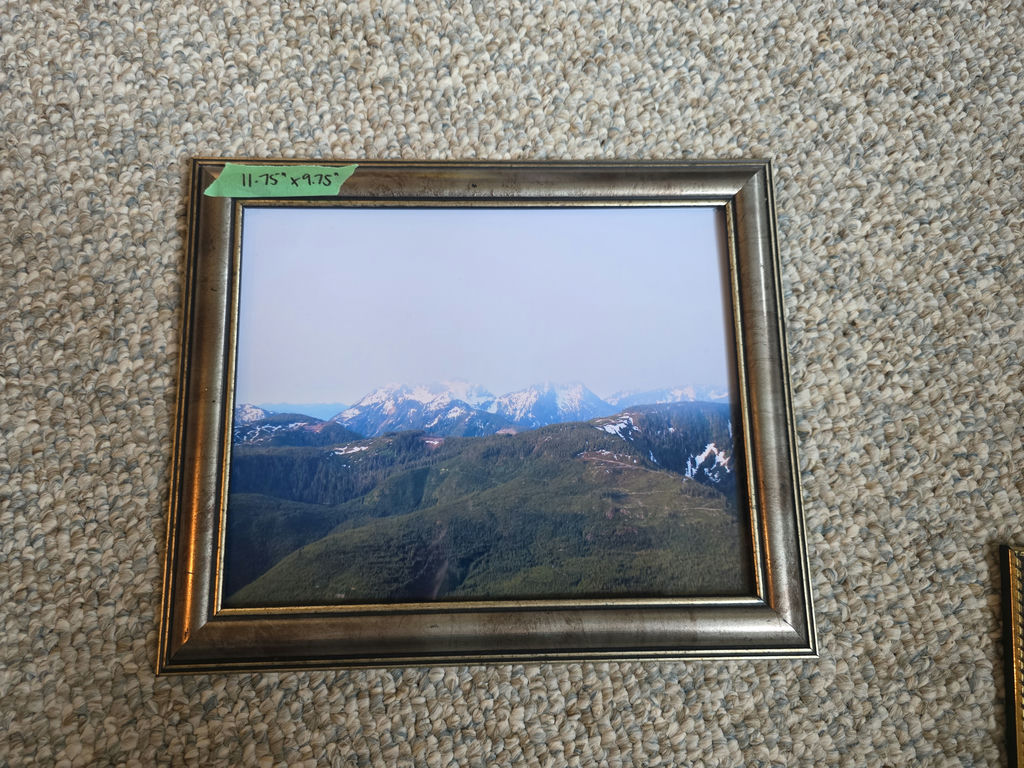 Collection of Framed Mountain and Landscape Prints - image 3 of 6