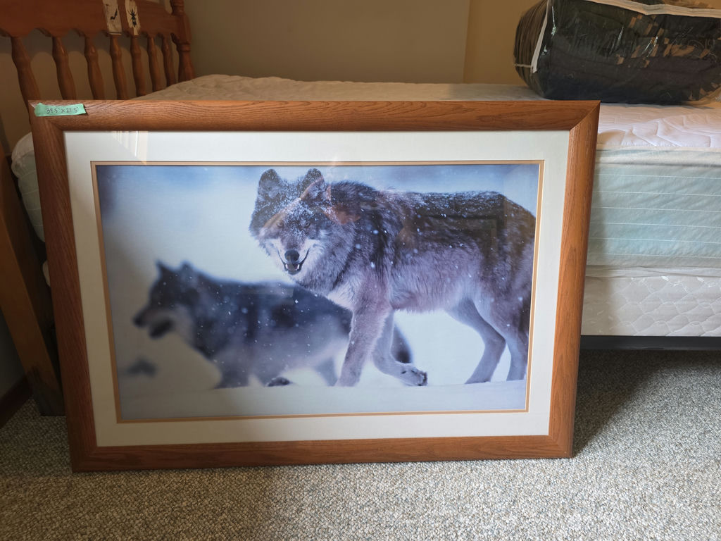 Framed Wolf Wildlife Prints and Feather Artwork - image 8 of 9