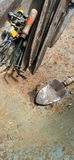 Assorted Yard and Garden Tools with Wheelbarrow - thumbnail 8 of 10