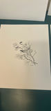 Set of Four Bird Illustration Prints By Frank Cipra - thumbnail 4 of 11