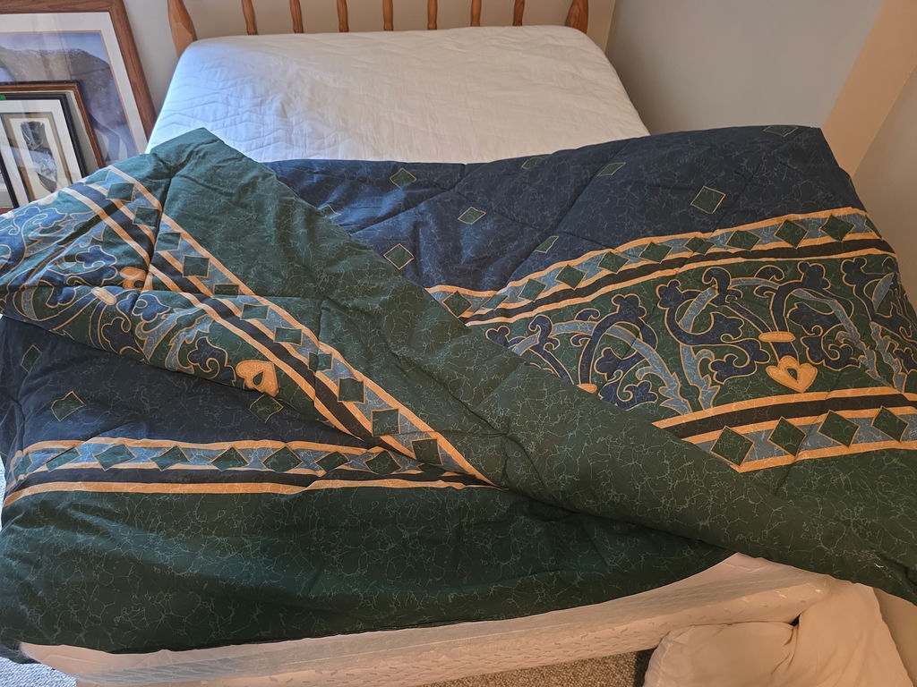 Queen Comforter - image 2 of 2