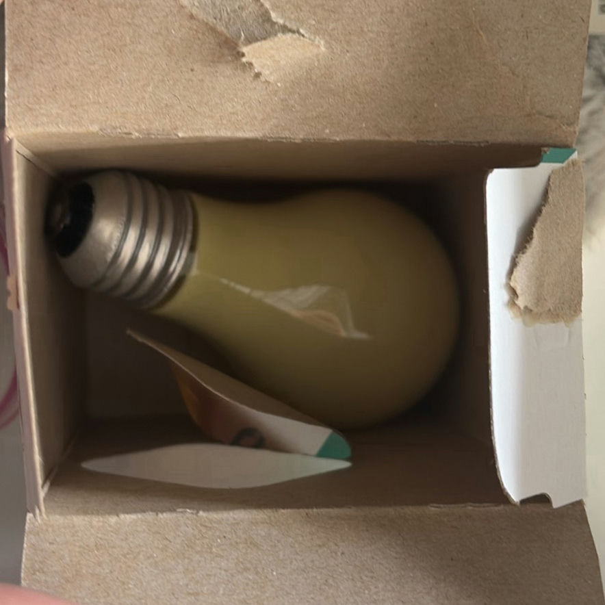 Plastic Storage Bin with Assorted Light Bulbs and Accessories - image 3 of 5