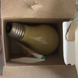Plastic Storage Bin with Assorted Light Bulbs and Accessories - thumbnail 3 of 5
