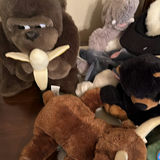 Assorted Plush Stuffed Animals and Hand Puppets - thumbnail 2 of 7