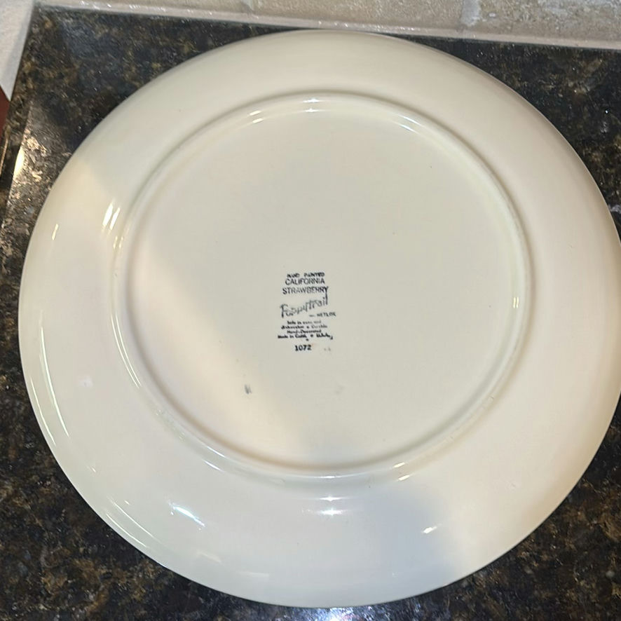 Metlox Soft Trail Manor Plates and Bowls Set - image 7 of 12