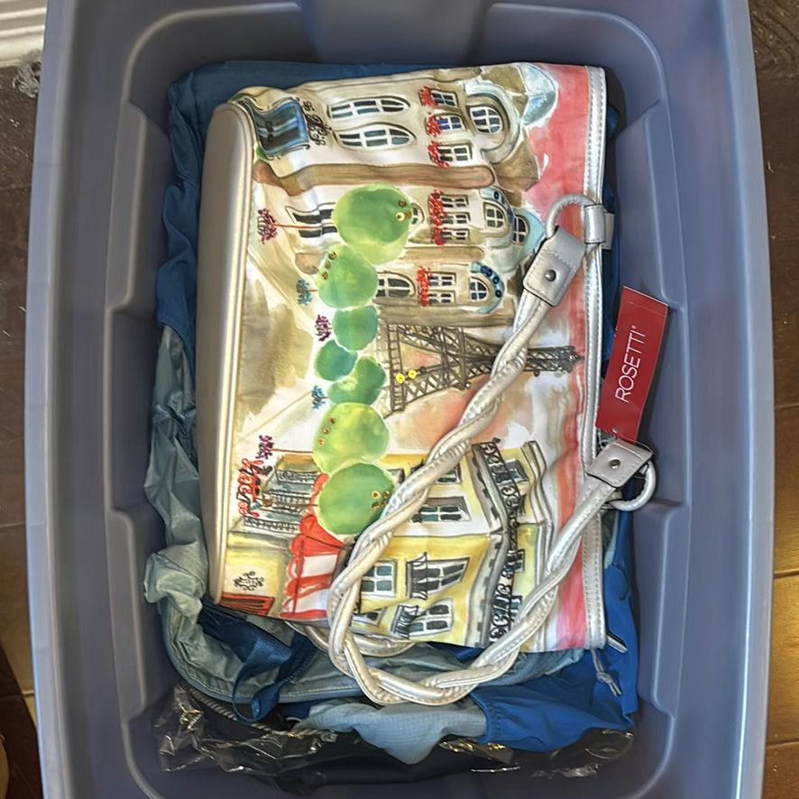 Assorted Backpacks and Handbags - image 3 of 4