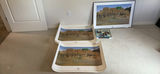Southwestern art prints and LP album frame set - thumbnail 1 of 5
