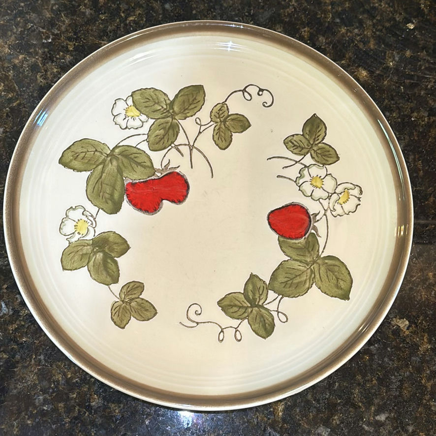 Metlox Soft Trail Manor Plates and Bowls Set - image 5 of 12