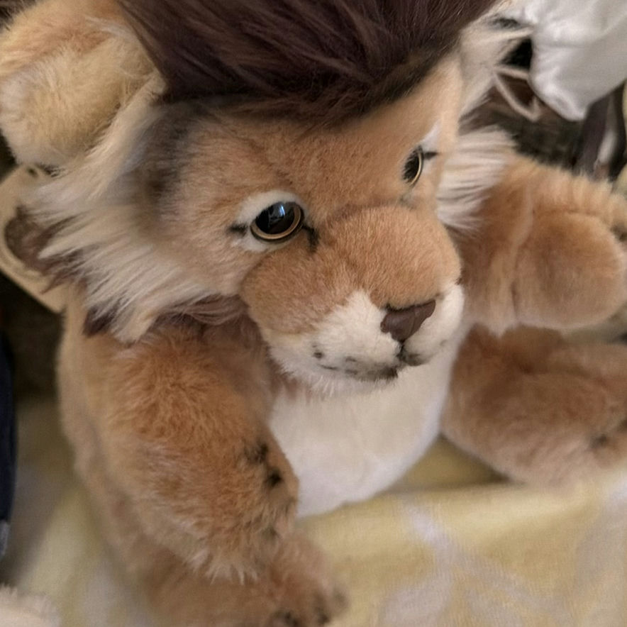 Assorted Plush Stuffed Animals and Hand Puppets - image 6 of 7