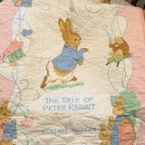 Baby Doll, Infant Clothing, Bottle Holder, and Peter Rabbit Quilt - thumbnail 5 of 6