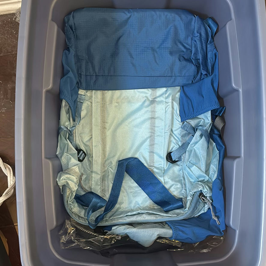Assorted Backpacks and Handbags - image 4 of 4