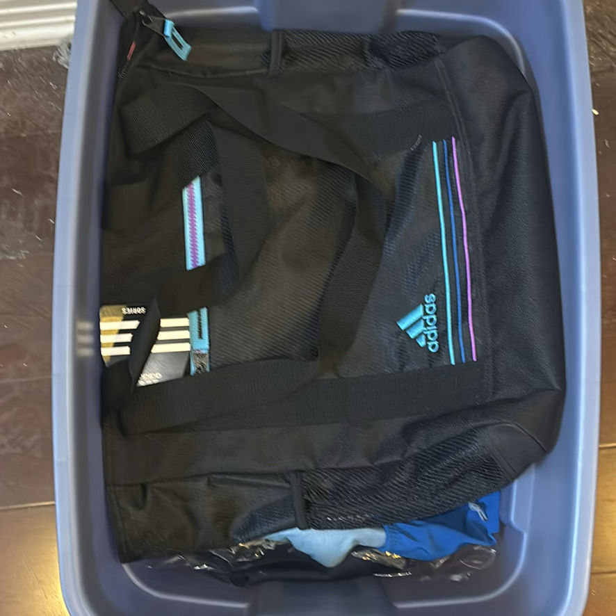 Assorted Backpacks and Handbags - image 2 of 4
