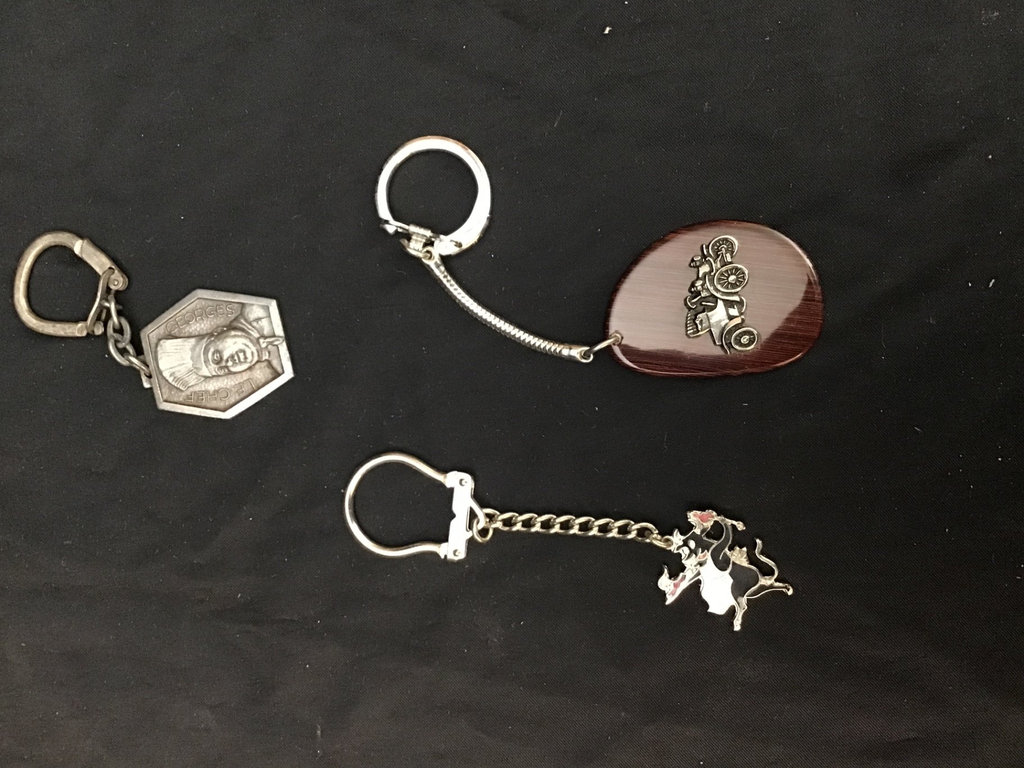 Locks and Key Chains - image 3 of 7