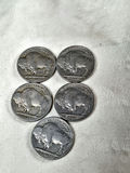 FIVE OLD USA BUFFALO NICKELS - thumbnail 1 of 2