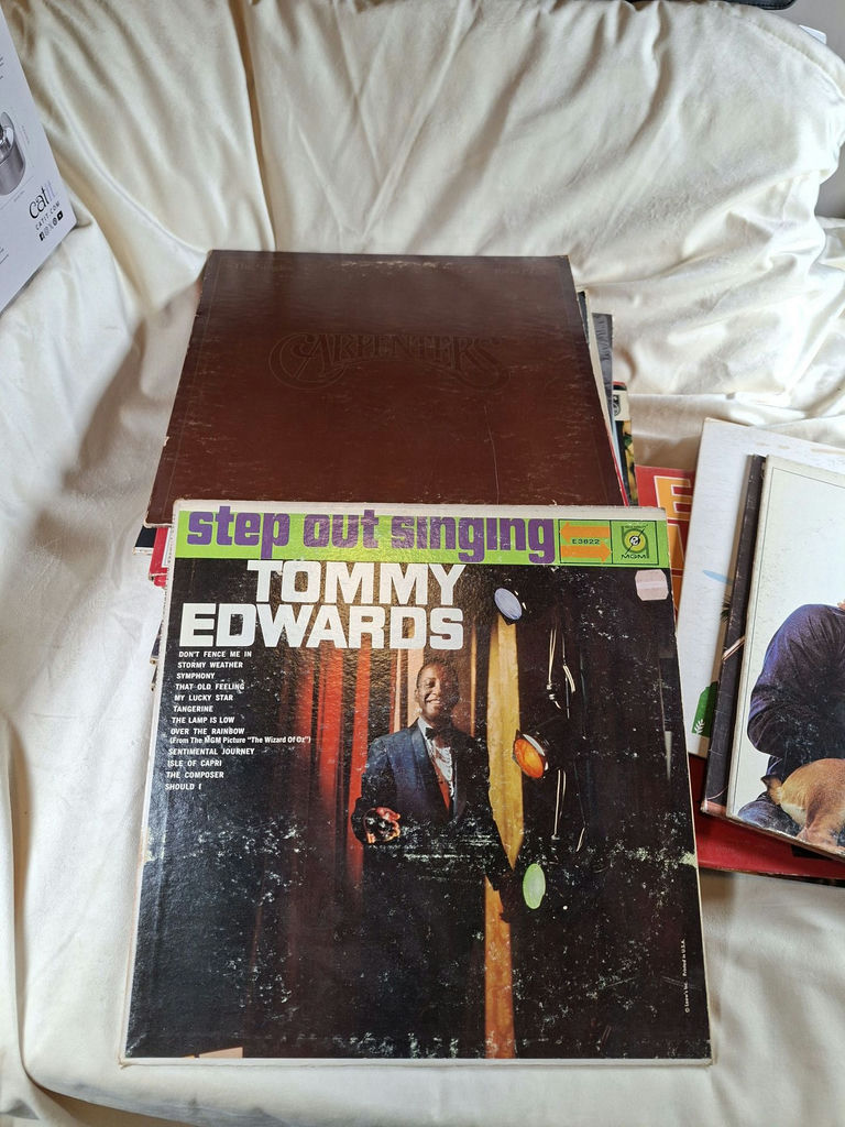 Stack Of 33 Vintage Records - image 4 of 10