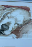 3 Original framed Watercolors of Sweet Dogs, By Hattan - thumbnail 10 of 12