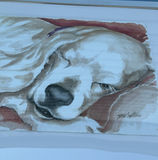3 Original framed Watercolors of Sweet Dogs, By Hattan - thumbnail 9 of 12