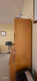 Wood Wall Unit / Bookcase with Storage Cabinets - thumbnail 2 of 3