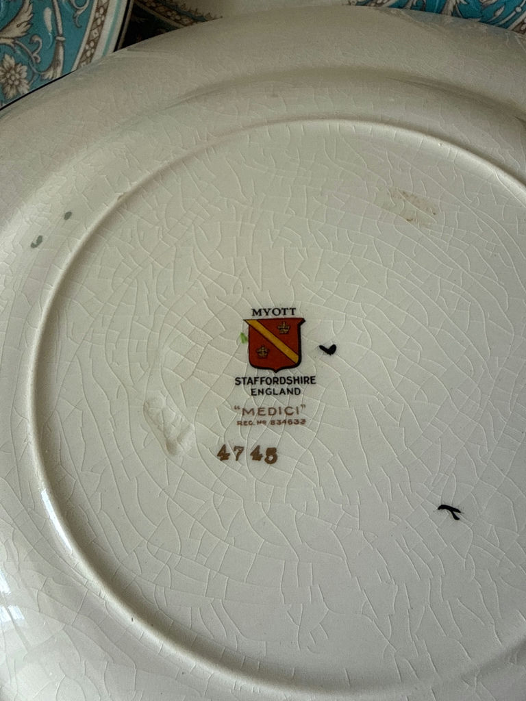 Set of Myott Medici Staffordshire dinner plates with teal border - image 3 of 3