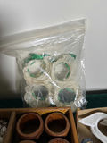 Assorted napkin rings and decorative trinkets - thumbnail 5 of 8