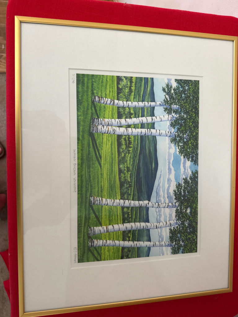 Deborah Holmes - framed birch-tree landscape print titled 'Summer Birches, Vermont' - image 1 of 5