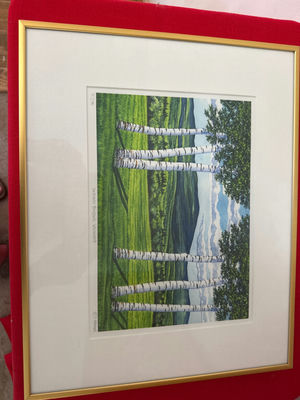 Deborah Holmes - framed  birch-tree landscape print titled 'Summer Birches, Vermont' - Image 1 of 5