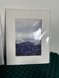 Seagull/Seabird Decor Themed Lot - thumbnail 5 of 9