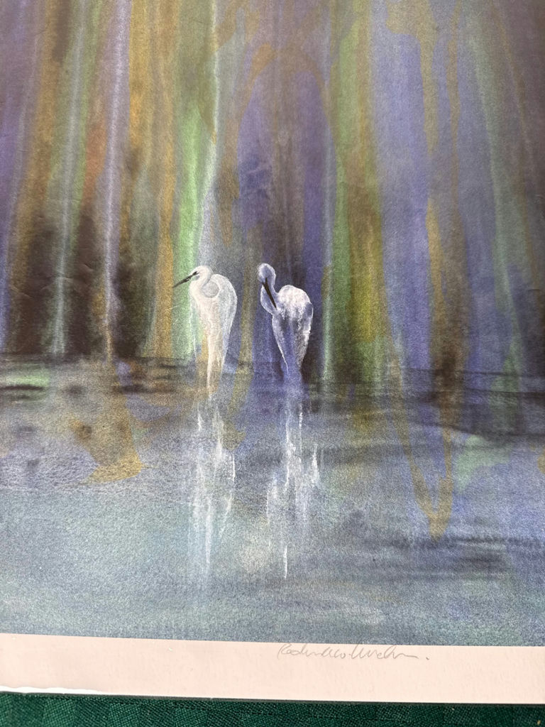 Two Herons in a Colorful Wetland - image 2 of 5