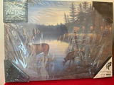 Quiet Places Whitetail Deer Lighted Wall Decor - thumbnail 2 of 3
