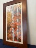 Autumn Aspen Trees Framed Artwork - thumbnail 1 of 3
