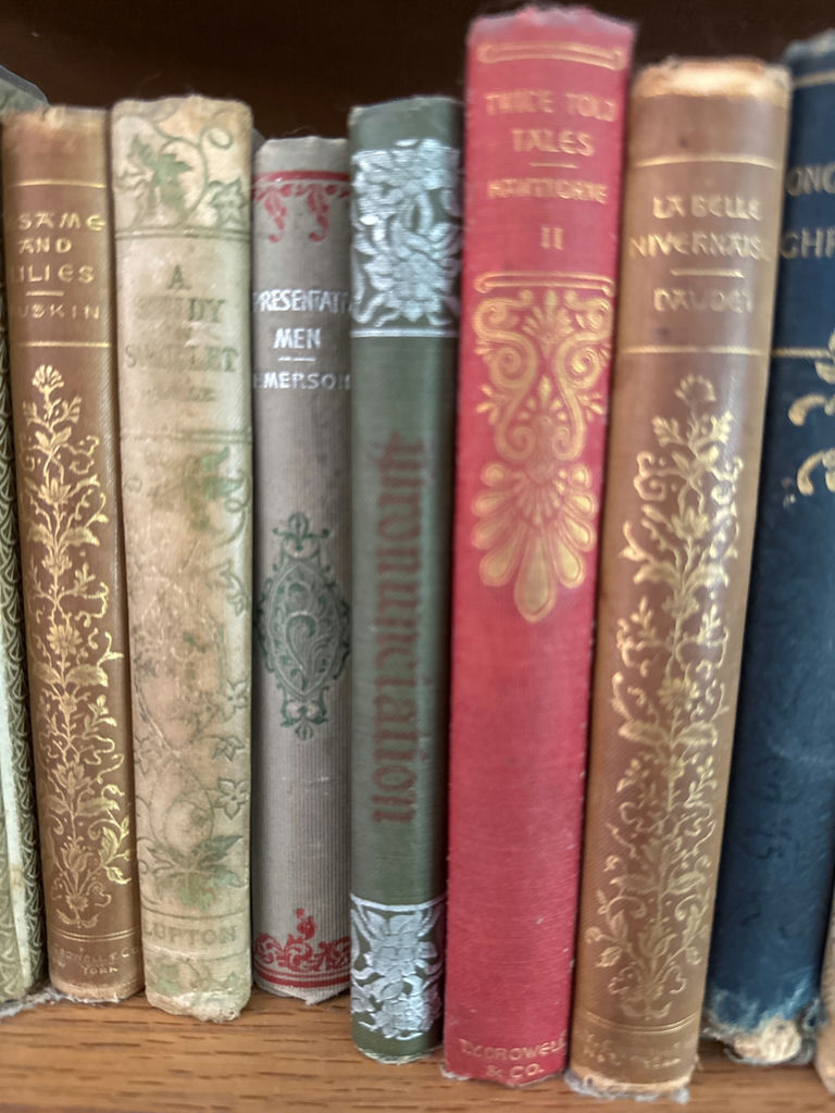 Antique leather-bound book collection - image 4 of 4