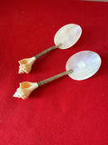 Mother of Pearl and conch - thumbnail 1 of 3