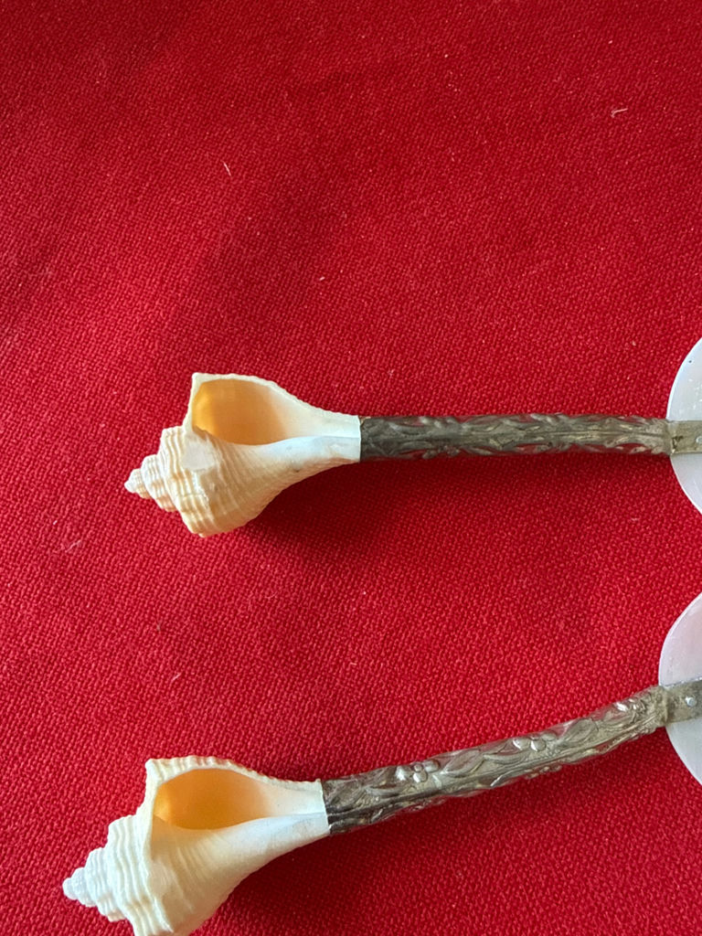Mother of Pearl and conch - image 3 of 3