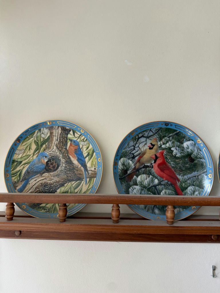 Bird-themed decorative ceramic plates with blue borders - image 2 of 7