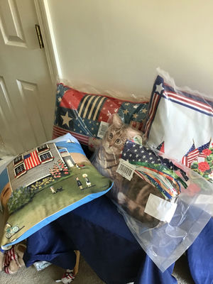 Patriotic decorative pillows and plush toys - Image 1 of 2
