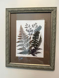 Framed Fern Botanical Print - thumbnail 1 of 2