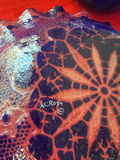Cobalt blue glass pitcher, decorative bowl, and salt & pepper shakers - thumbnail 4 of 4