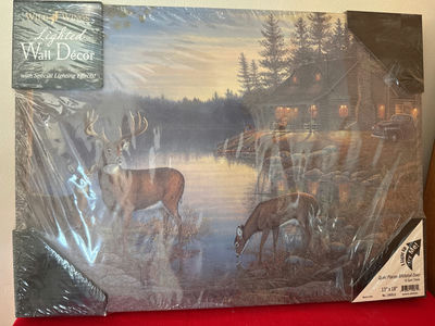 Quiet Places Whitetail Deer Lighted Wall Decor - Image 1 of 3
