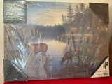 Quiet Places Whitetail Deer Lighted Wall Decor - thumbnail 1 of 3